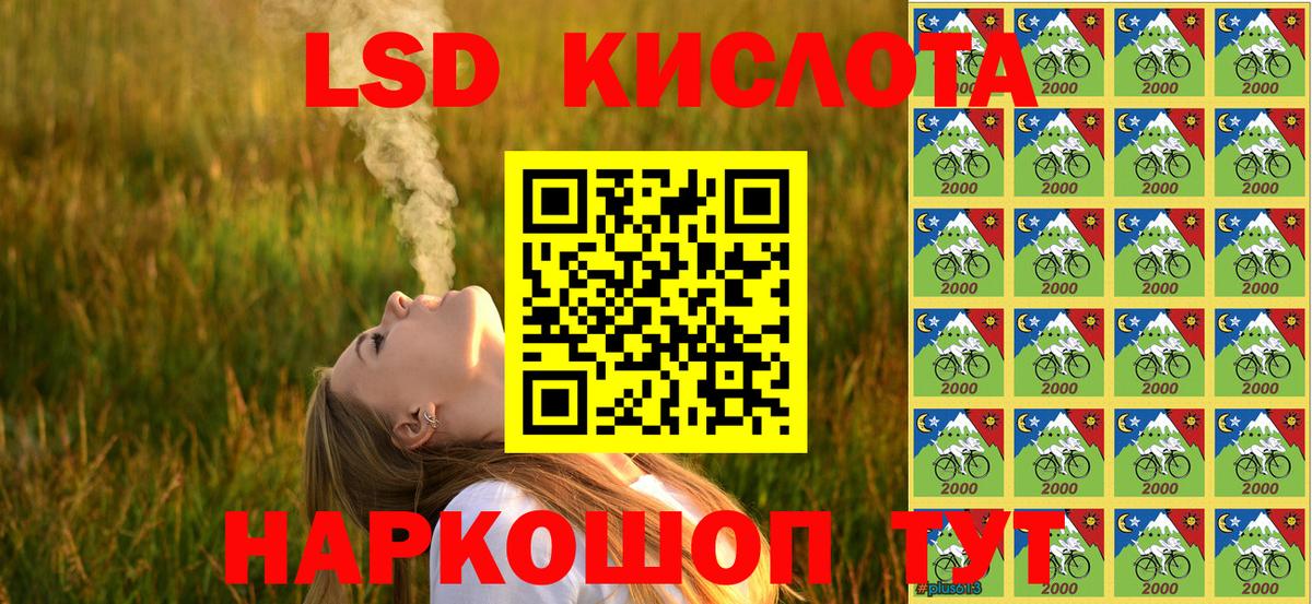 Бошки Шишки Якутск