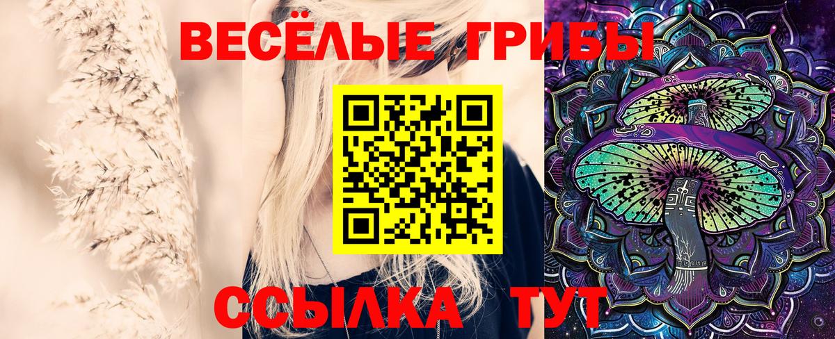 Галлюциногенные грибы прущие грибы Якутск