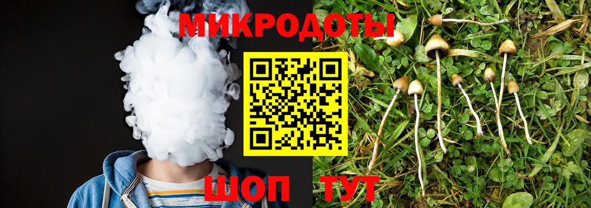 Галлюциногенные грибы MAGIC MUSHROOMS  Галлюциногенные грибы Cubensis  Якутск  Вход с VPN 